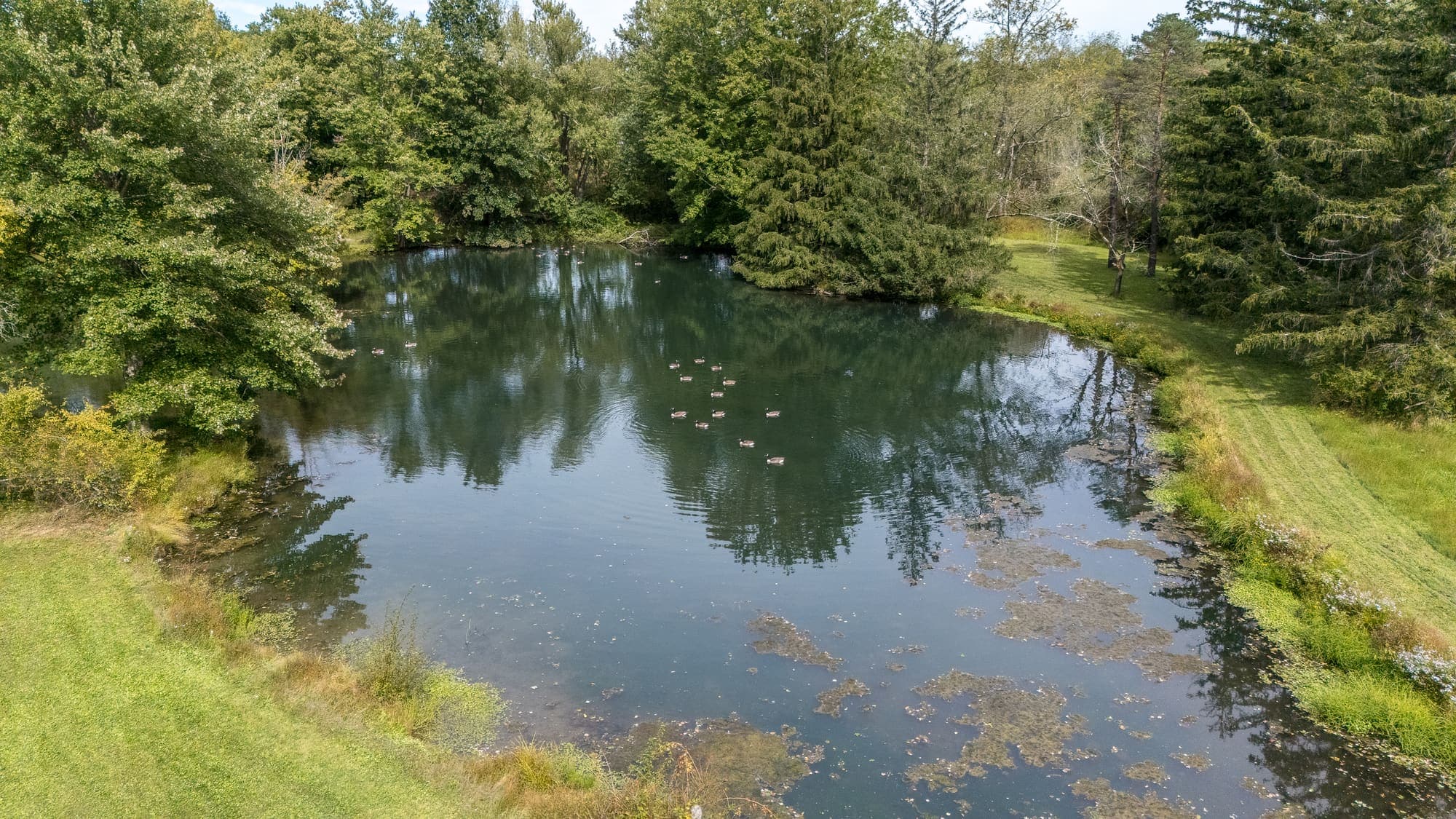 The private pond from above, ringed by trees